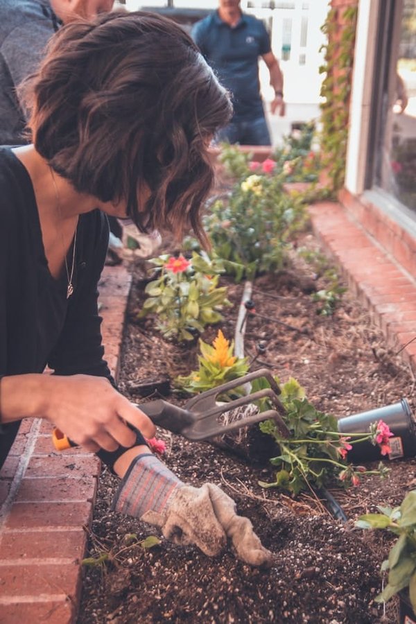 Le jardinage : une activité insoupçonnée pour maigrir