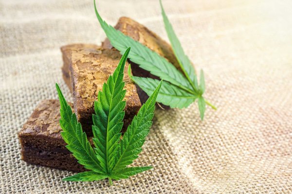 3x filtré : un facteur important pendant l'achat d'un hash de cbd